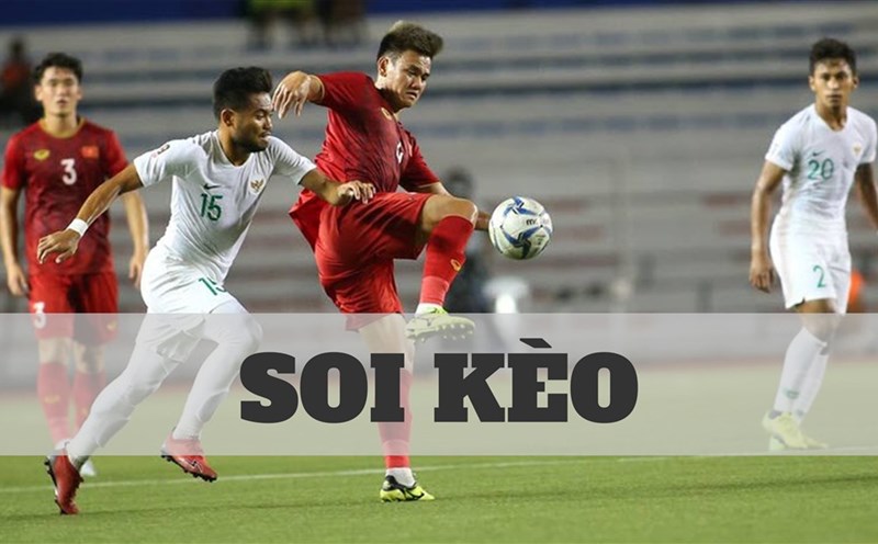 Kèo Tài Xỉu 3 1/4 Là Gì? Bí Quyết Đọc Vị Kèo Ba Trái Ba Trái Rưỡi